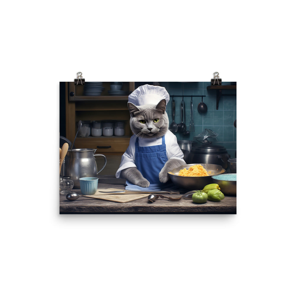 Russian Blue Chef Photo paper poster - PosterfyAI.com