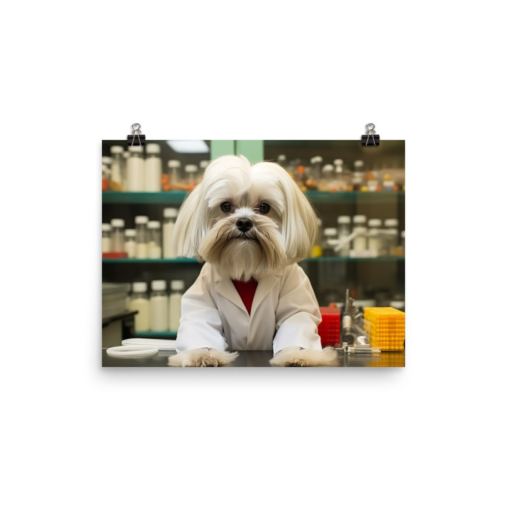 Lhasa Apso Pharmacist Photo paper poster - PosterfyAI.com