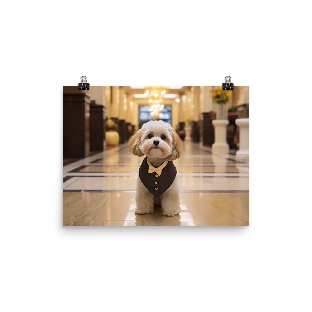 Lhasa Apso Hotel Staff Photo paper poster - PosterfyAI.com