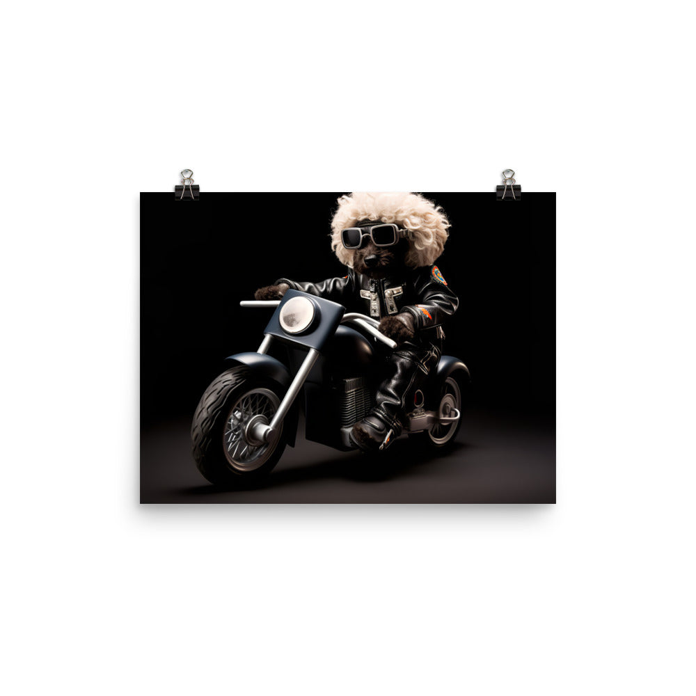 Poodle Superbike Athlete Photo paper poster - PosterfyAI.com