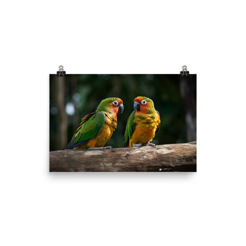 Two Conures perched side by side photo paper poster - Posterfy.AI