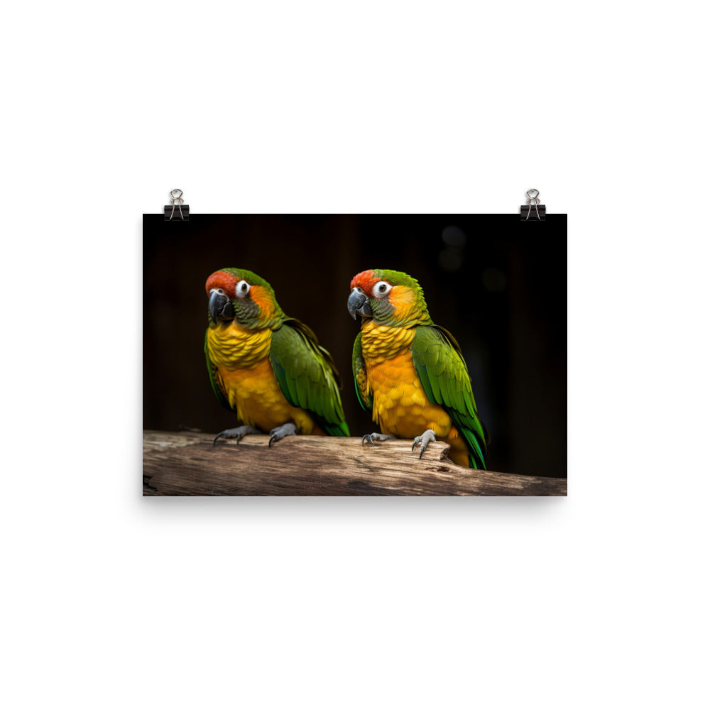 Two Conures perched side by side photo paper poster - Posterfy.AI