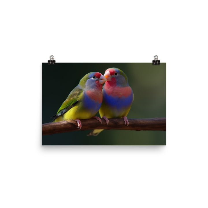 Rainbow Finches in the Wild photo paper poster - Posterfy.AI