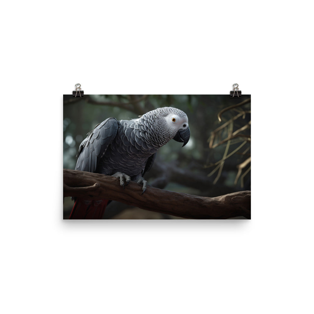 Curious African Grey Parrot photo paper poster - Posterfy.AI