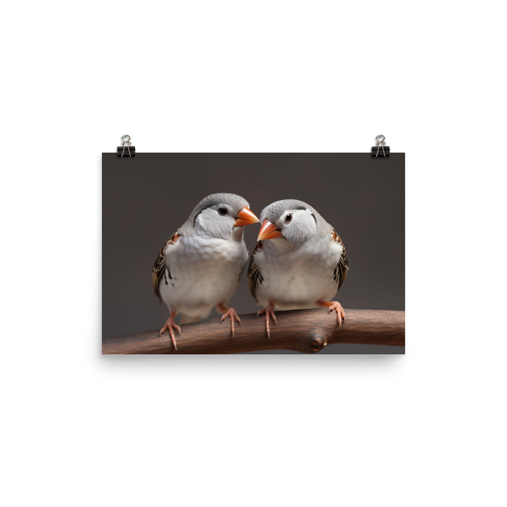 Close-up of Zebra Finches photo paper poster - Posterfy.AI