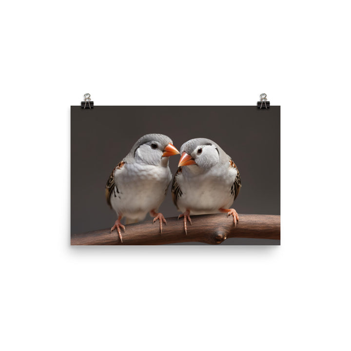 Close-up of Zebra Finches photo paper poster - Posterfy.AI