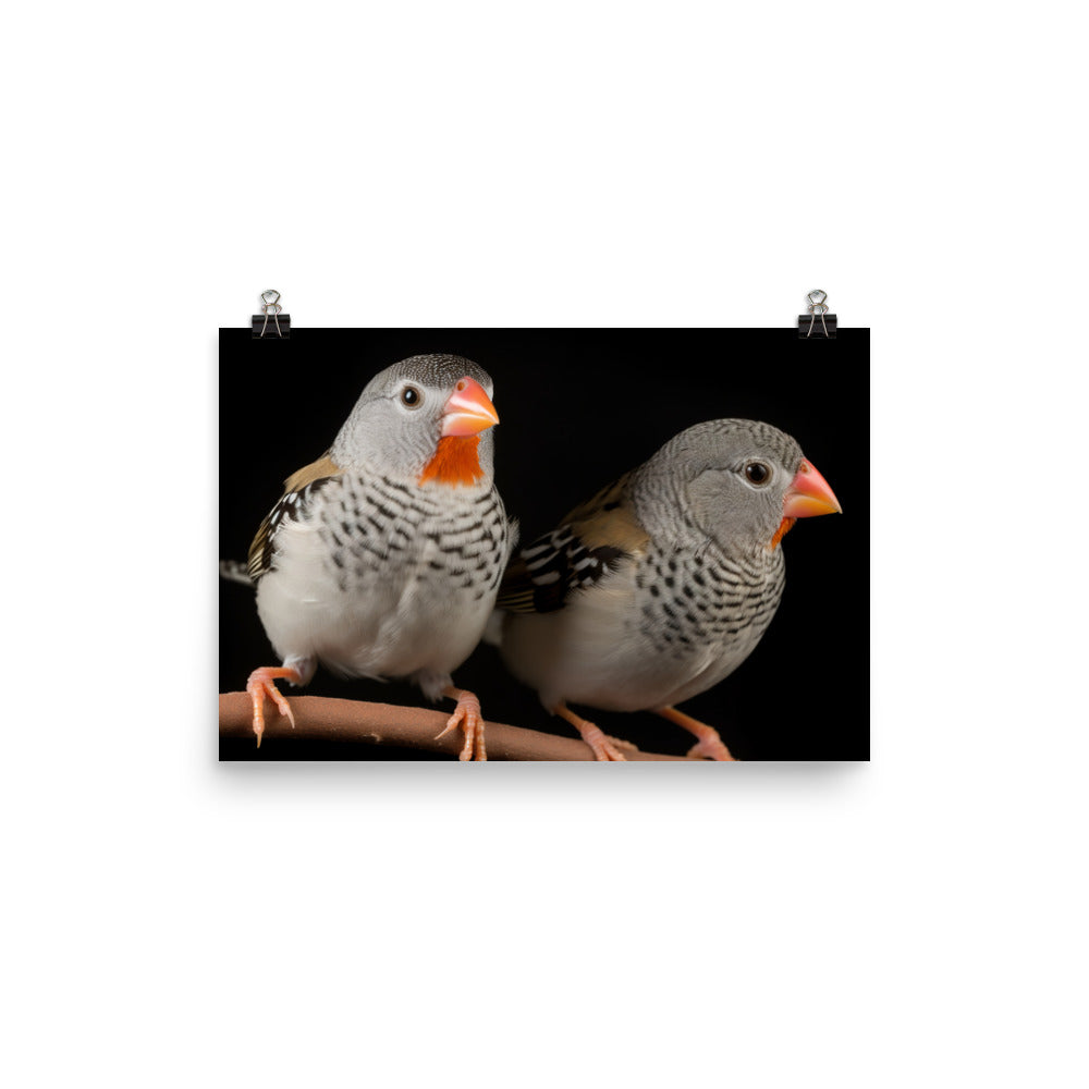 Close-up of Zebra Finches photo paper poster - Posterfy.AI