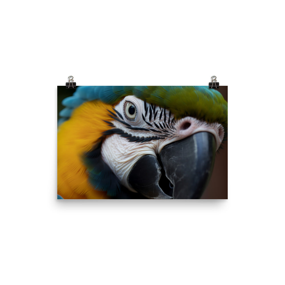 Close-up of a Blue and Gold Macaws face photo paper poster - Posterfy.AI