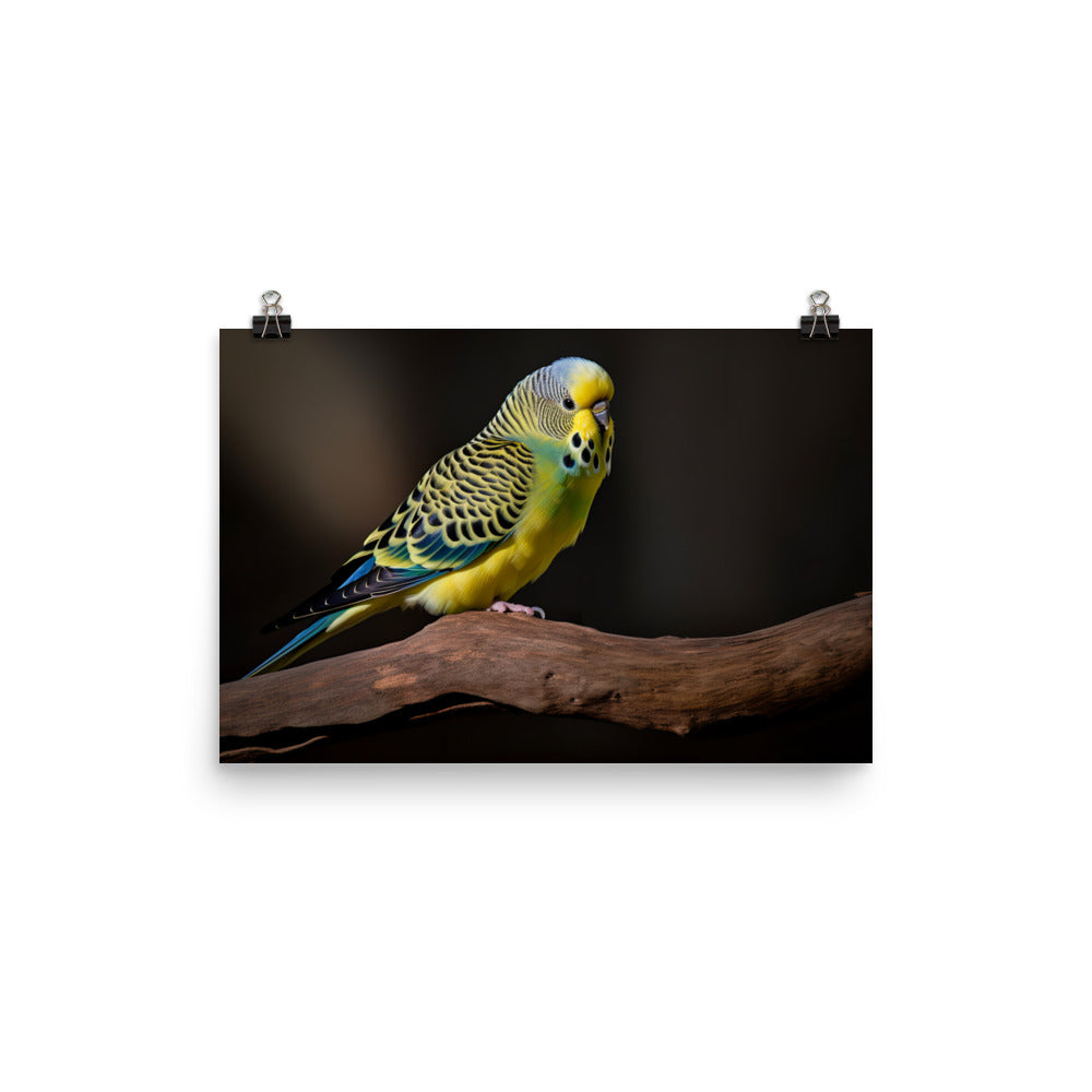 Cheerful Budgie on a Perch photo paper poster - Posterfy.AI