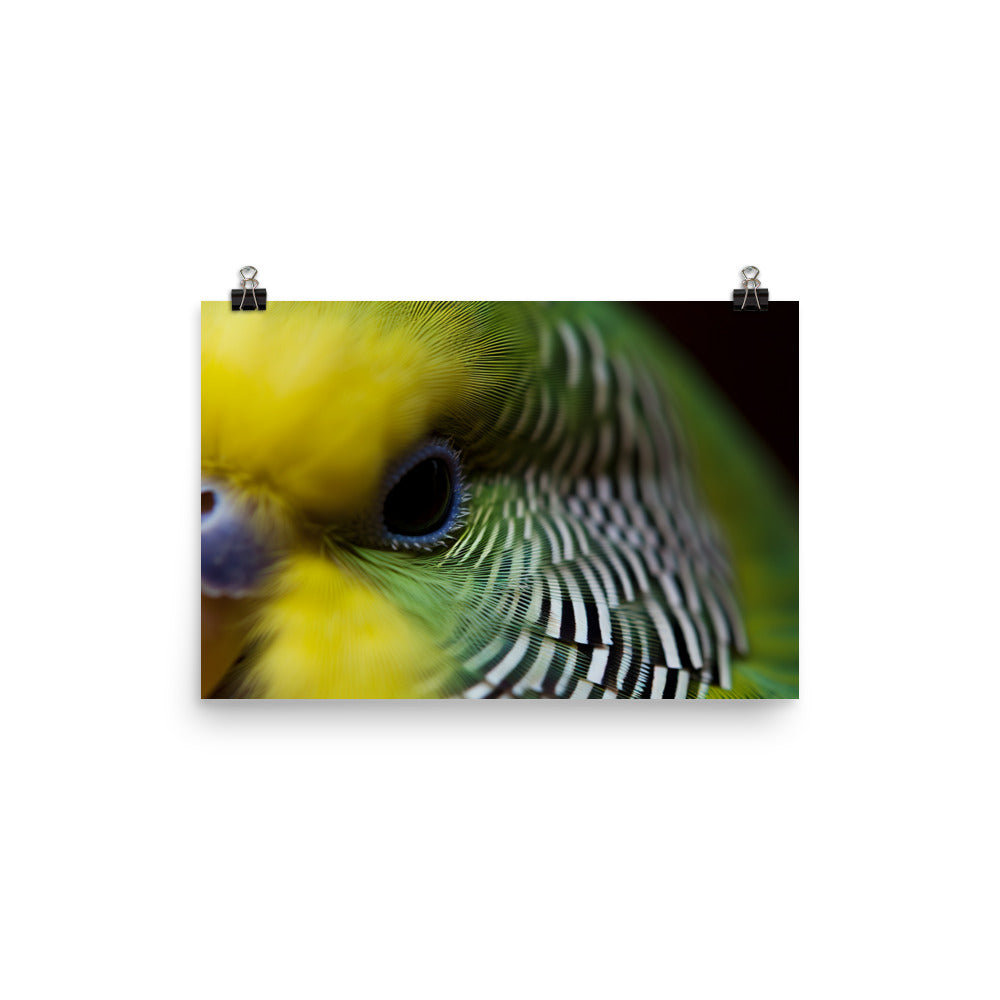 Budgie Close Up photo paper poster - Posterfy.AI