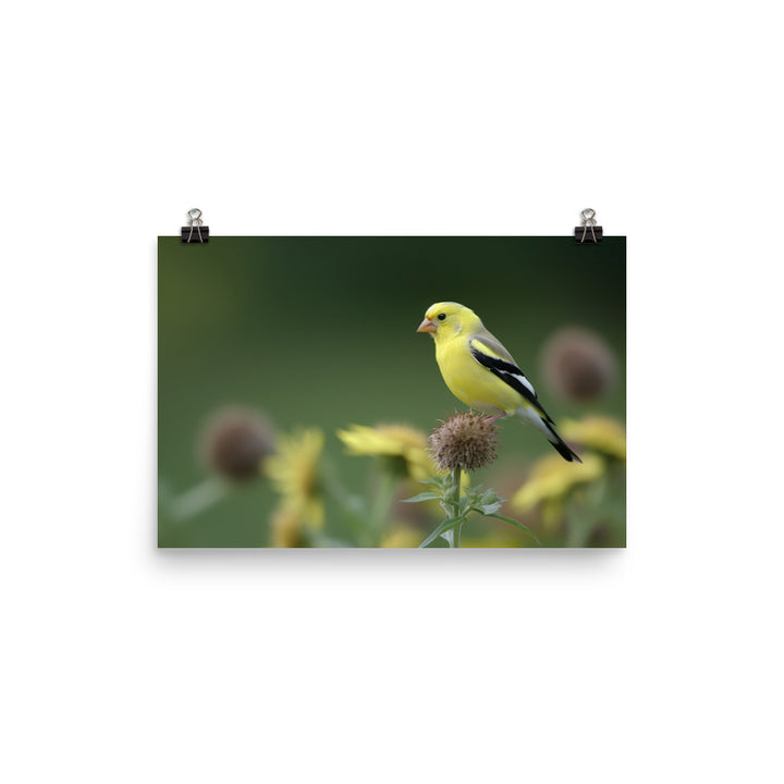 American Goldfinch in the Garden photo paper poster - Posterfy.AI