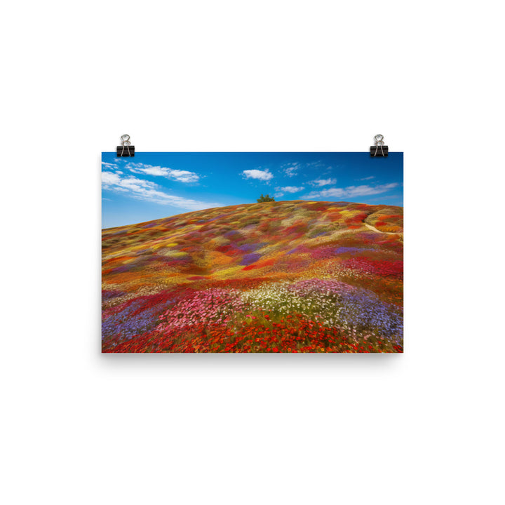 Hitachi Seaside Parks Floral Wonderland photo  paper poster - Posterfy.AI