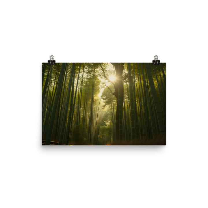 Golden Hour Enchantment in Arashiyama Bamboo Grove photo  paper poster - Posterfy.AI
