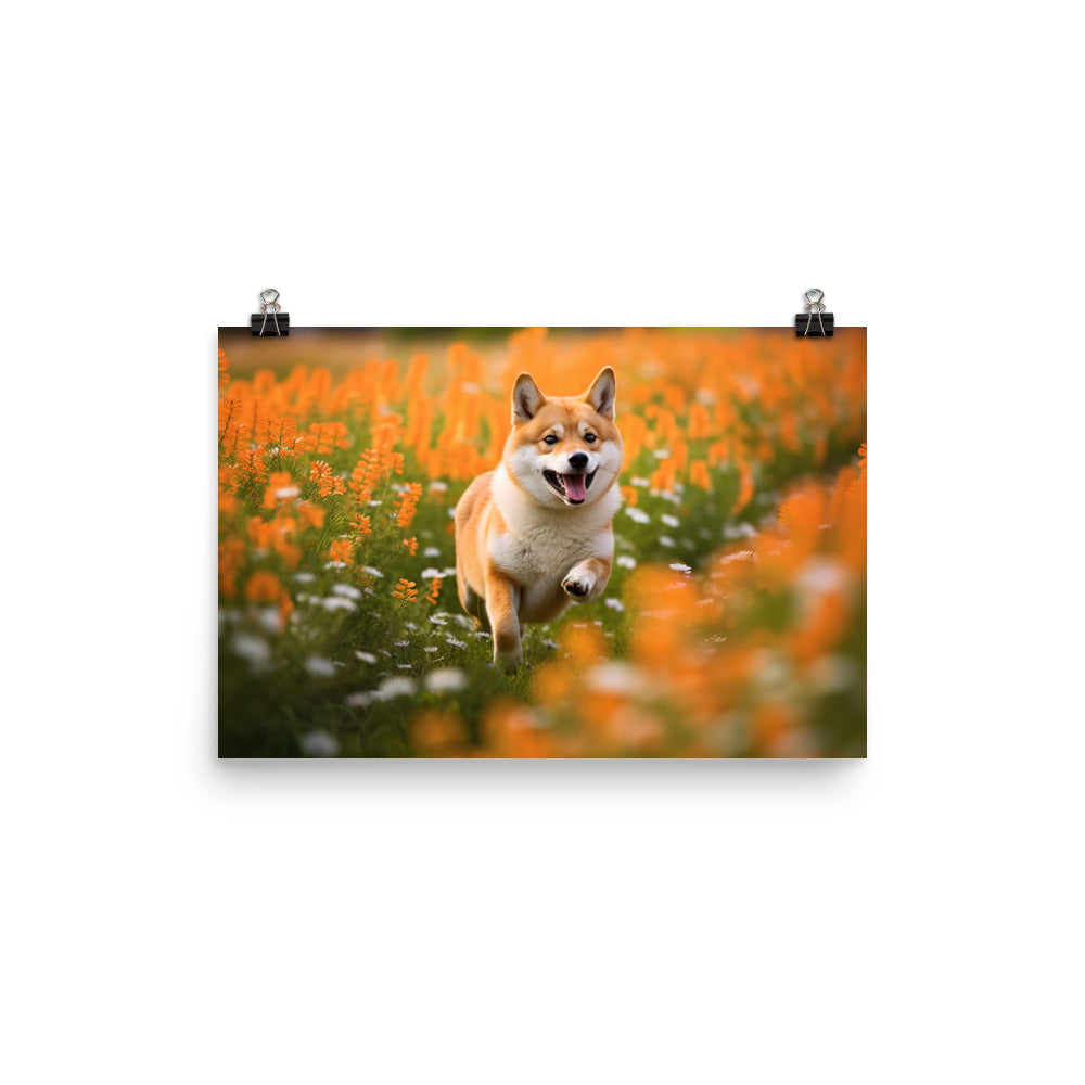 Shiba Inu Running photo paper poster - Posterfy.AI