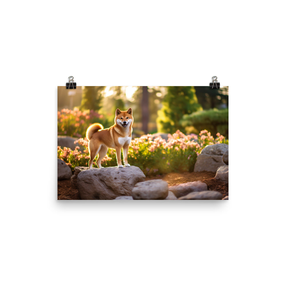 Magnificent Shiba Inu photo paper poster - Posterfy.AI