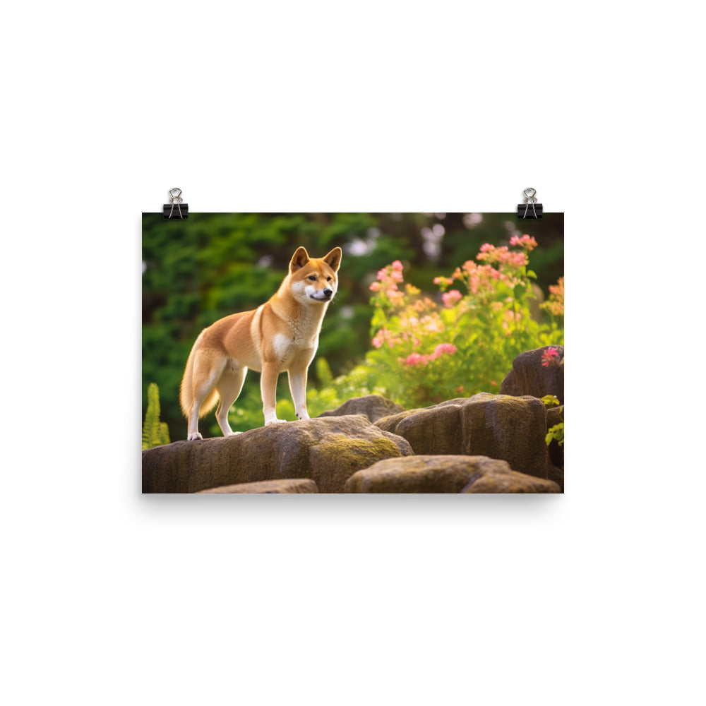 Magnificent Shiba Inu photo paper poster - Posterfy.AI