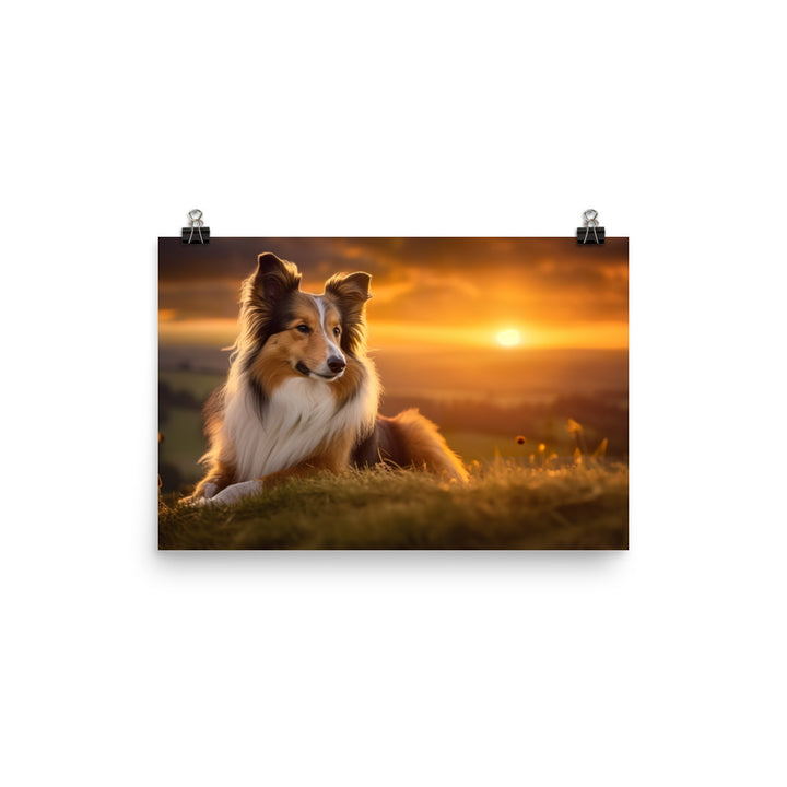 Shetland Sheepdog Watching the Sunset photo paper poster - Posterfy.AI