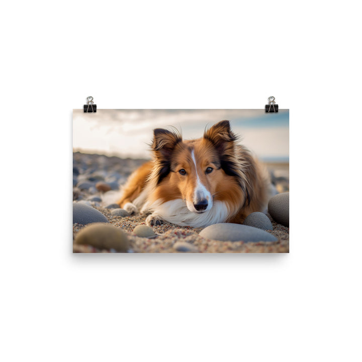 Shetland Sheepdog Relaxing on the Beach photo paper poster - Posterfy.AI