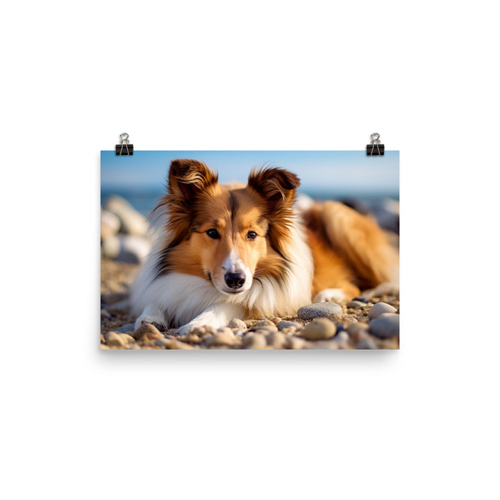 Shetland Sheepdog Relaxing on the Beach photo paper poster - Posterfy.AI