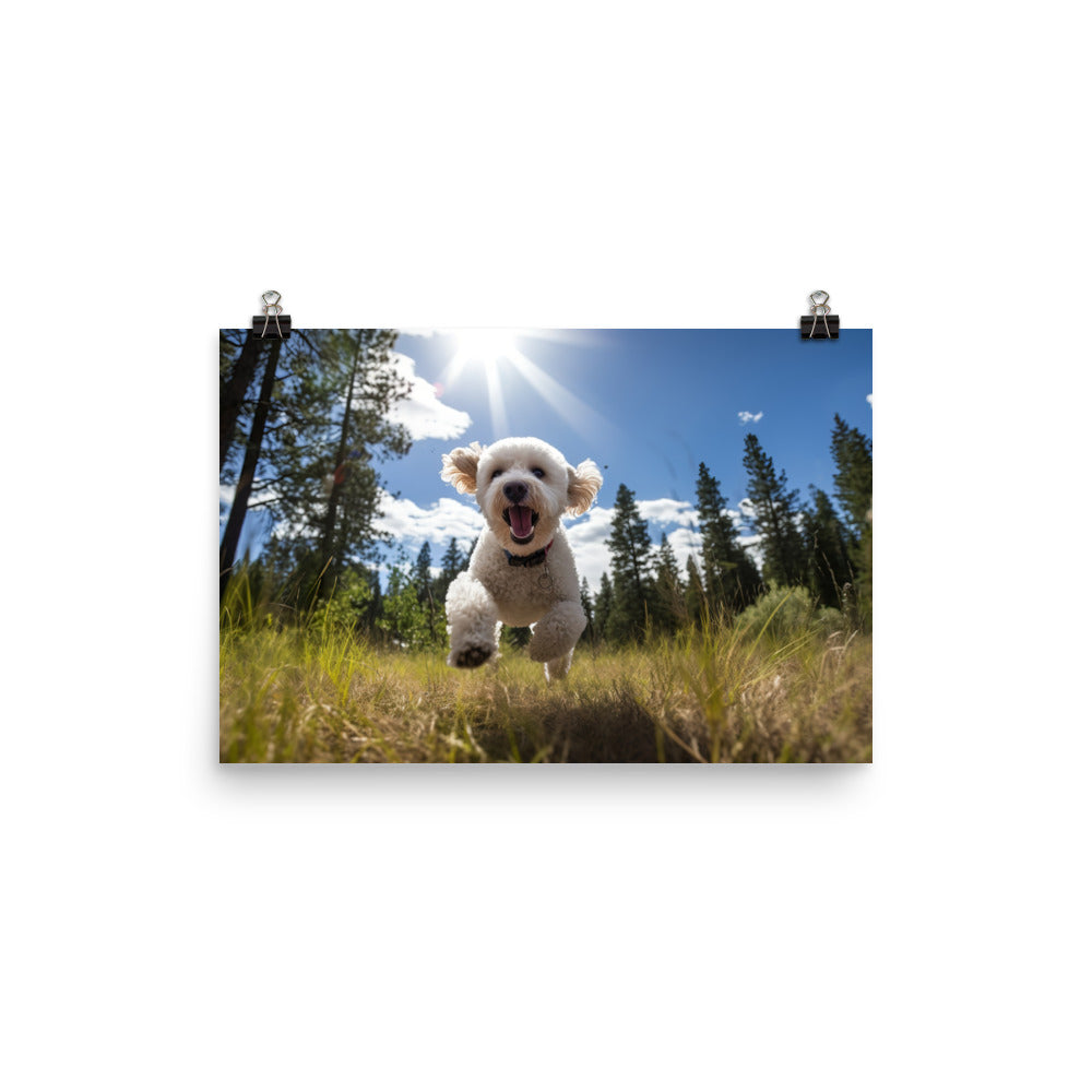 The Playful Poodle photo paper poster - Posterfy.AI
