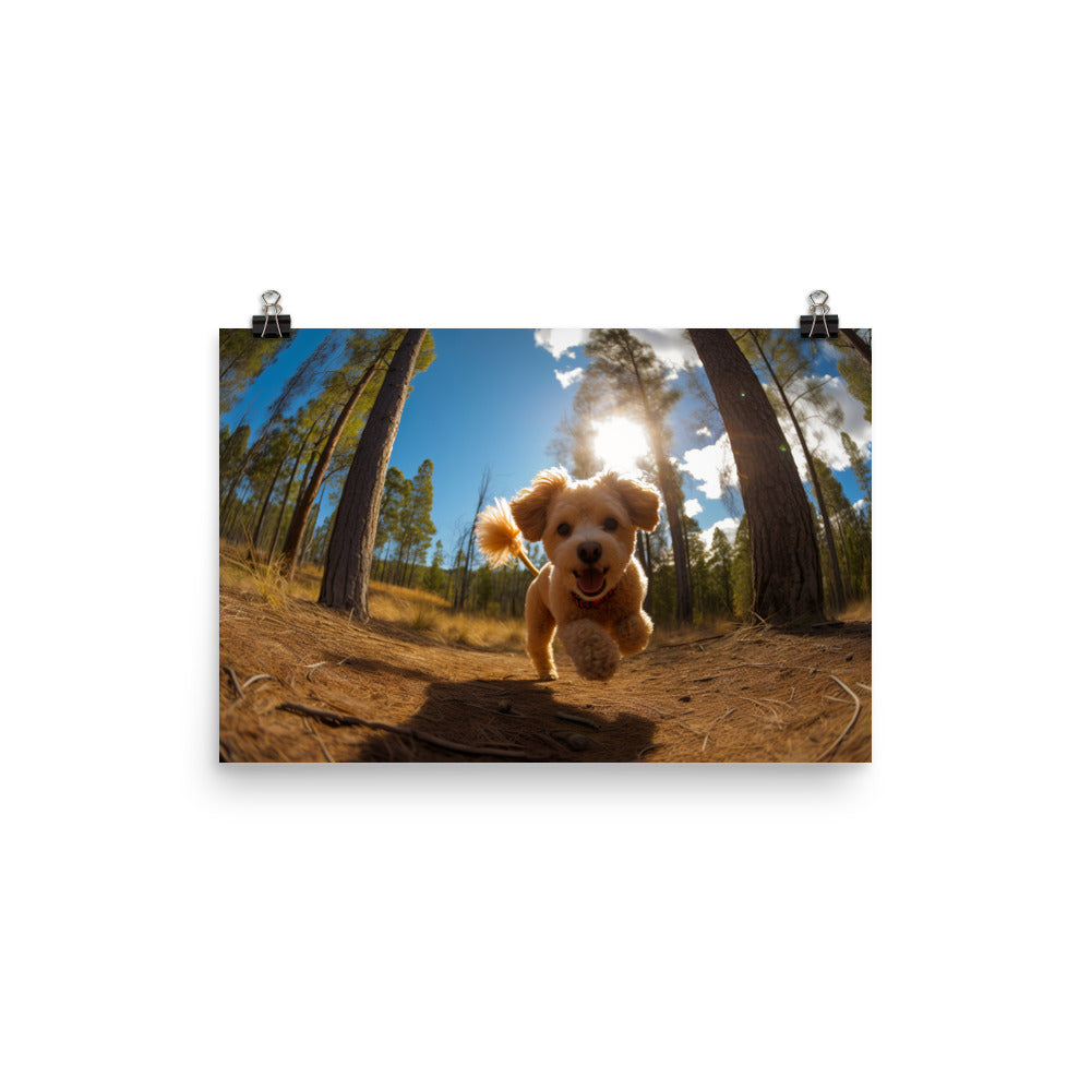 The Playful Poodle photo paper poster - Posterfy.AI