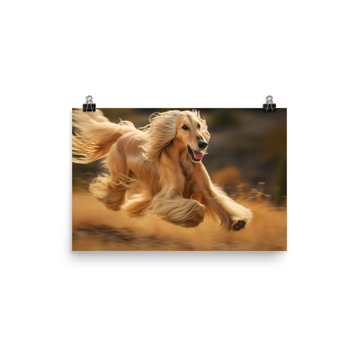 Graceful Afghan Hound in motion photo paper poster - Posterfy.AI