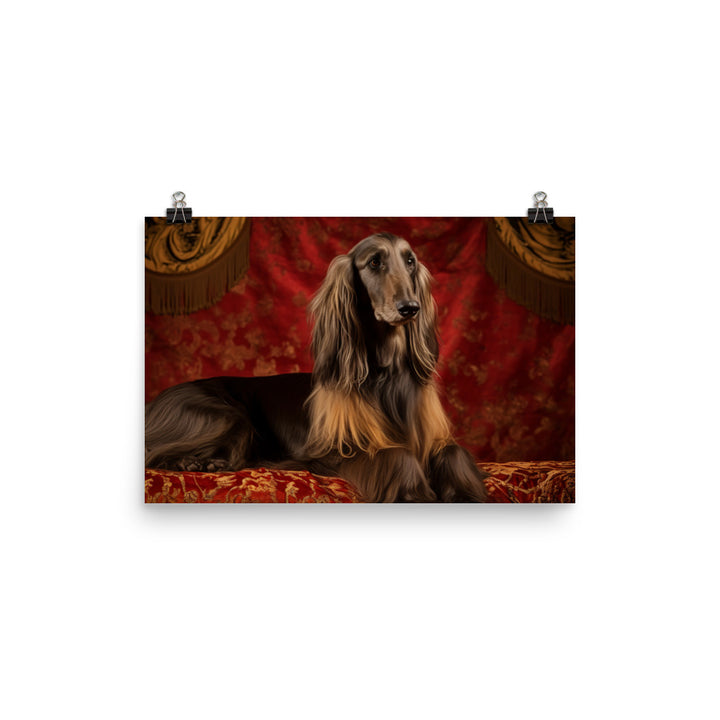 Afghan Hound in a regal pose photo paper poster - Posterfy.AI