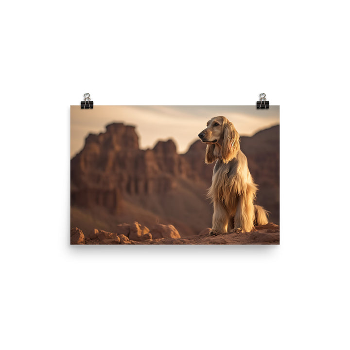 Afghan Hound in a natural environment photo paper poster - Posterfy.AI