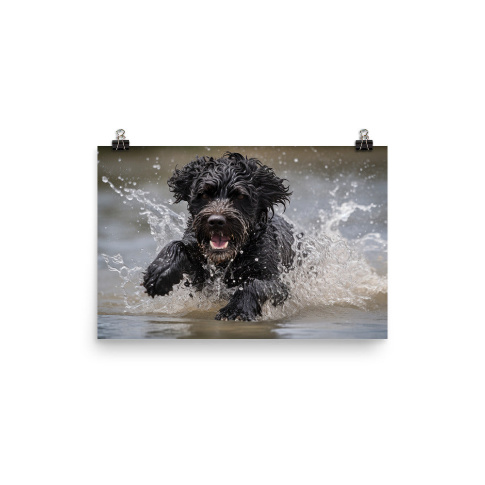 Portuguese Water Dog playing photo paper poster - Posterfy.AI