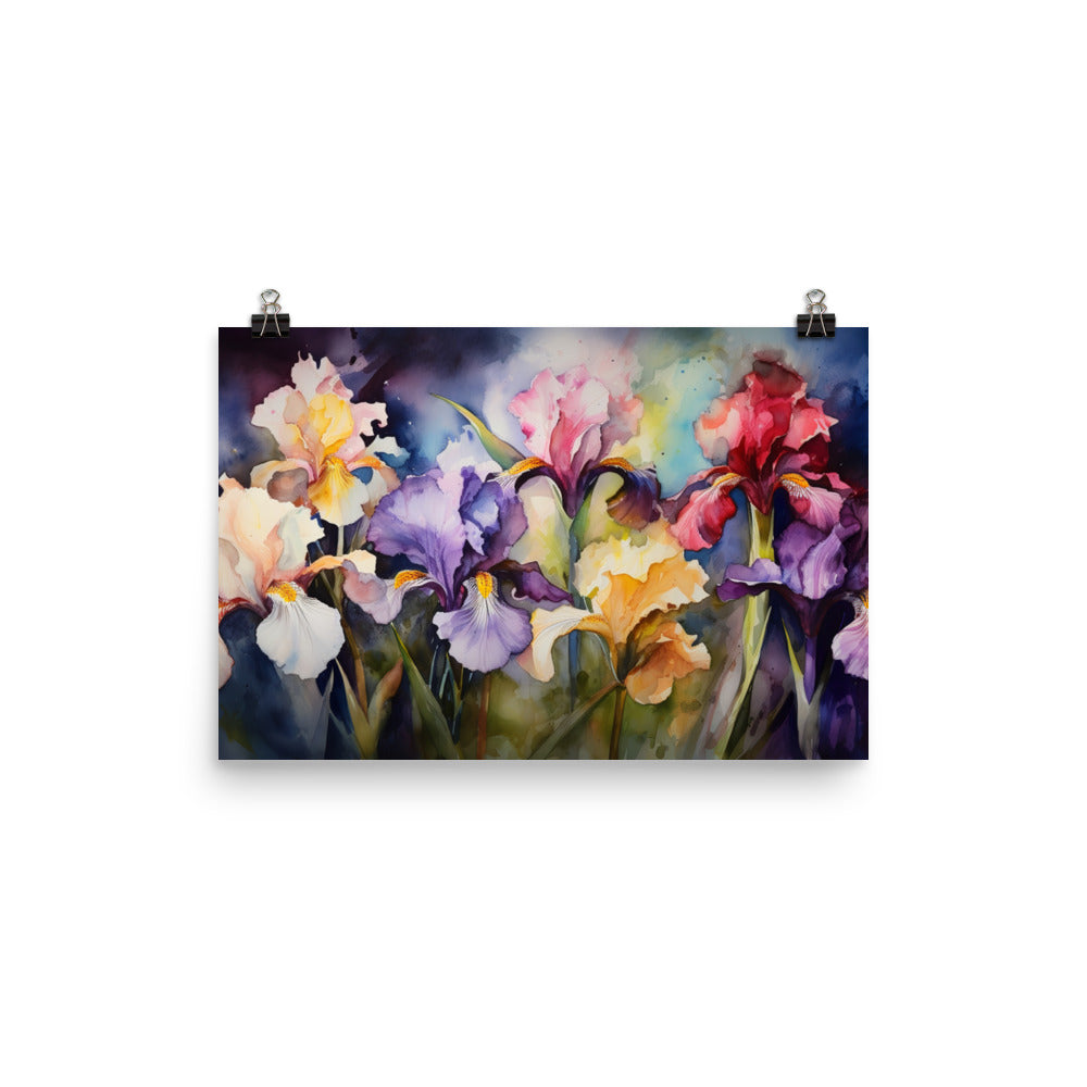 Irises in Full Bloom photo paper poster - Posterfy.AI