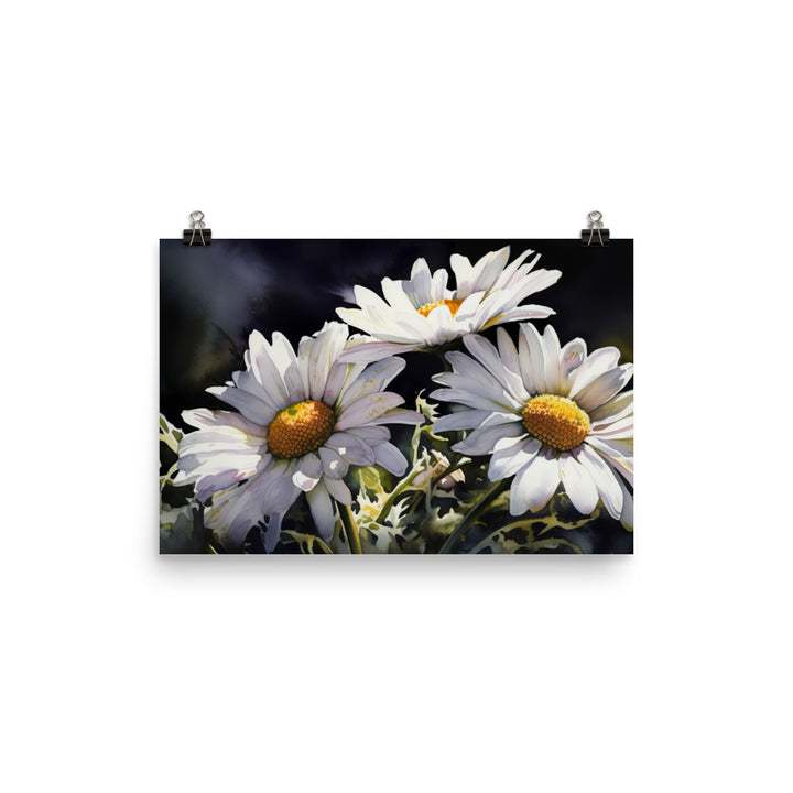 Daisies in Full Bloom photo paper poster - Posterfy.AI