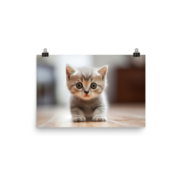 British Shorthair Kitten photo paper poster - Posterfy.AI