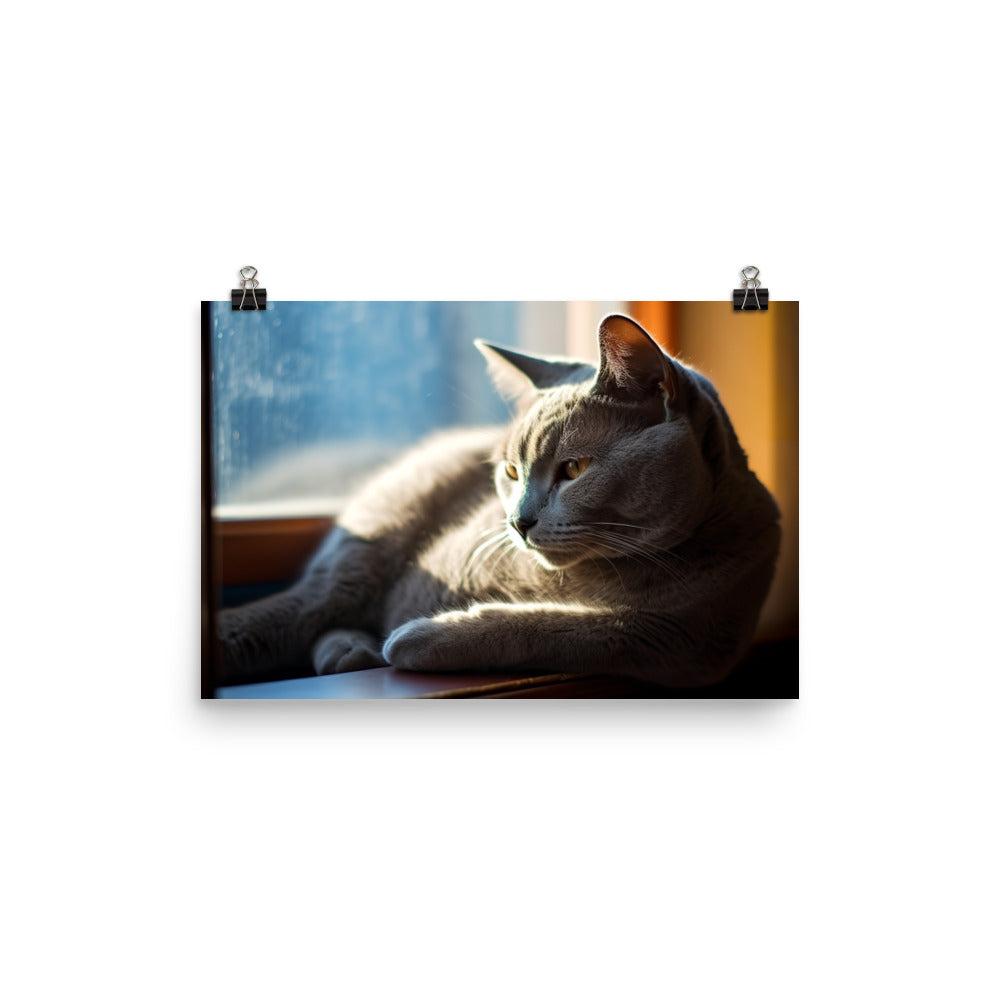 Serene Russian Blue Cat photo paper poster - Posterfy.AI