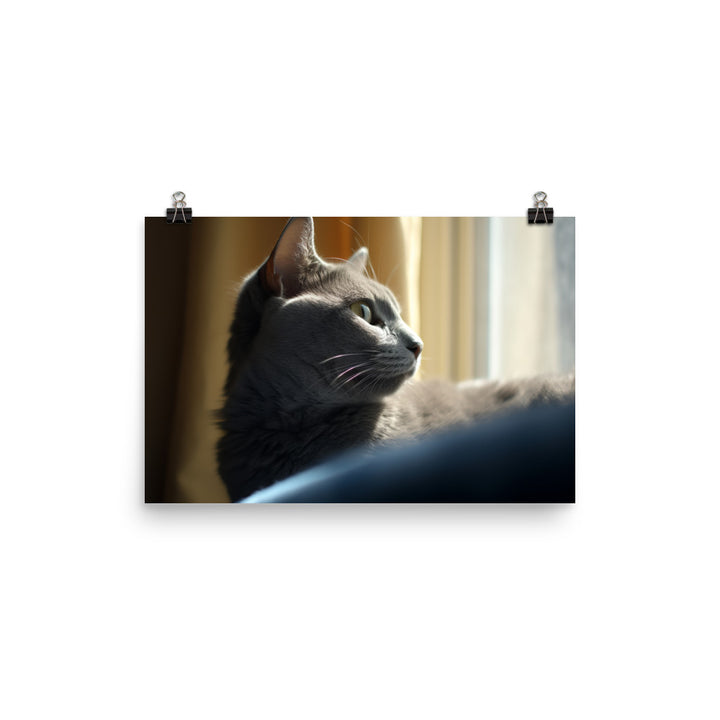 Serene Russian Blue Cat photo paper poster - Posterfy.AI