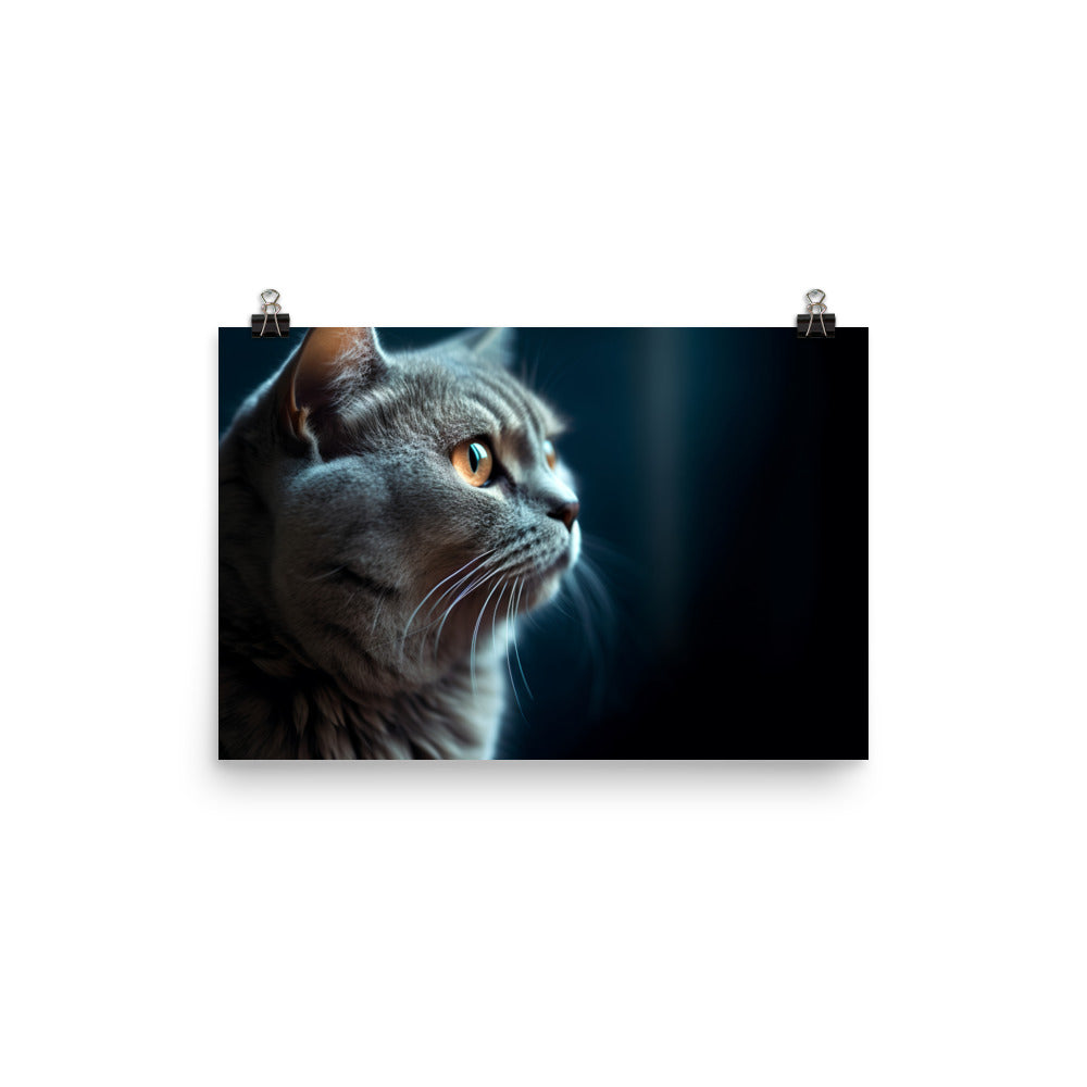 Beauty of a Scottish Fold photo paper poster - Posterfy.AI