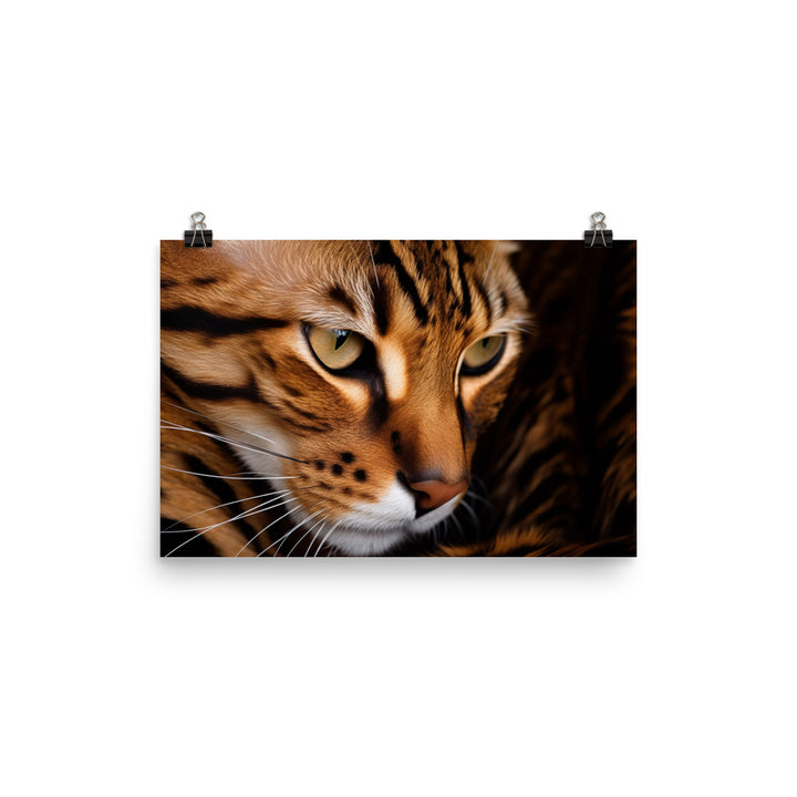 Exquisite Bengal photo paper poster - Posterfy.AI