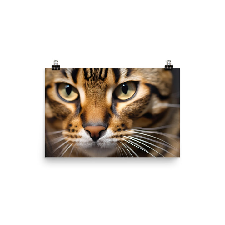 Exquisite Bengal photo paper poster - Posterfy.AI