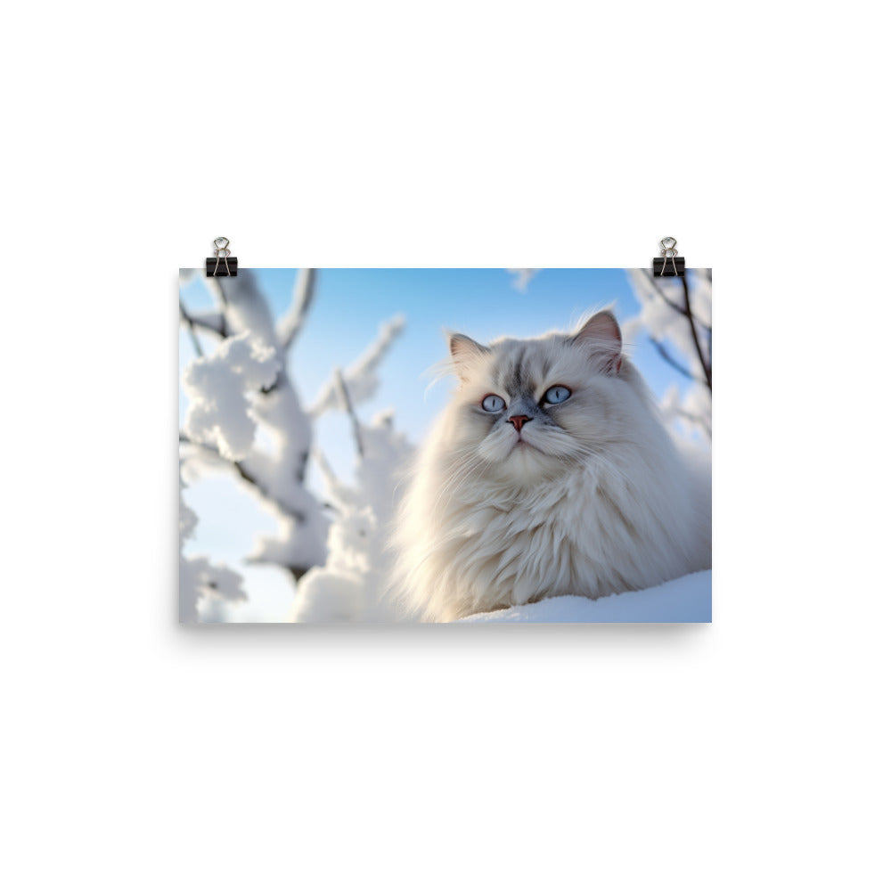 Himalayan Cat in Winter photo paper poster - Posterfy.AI