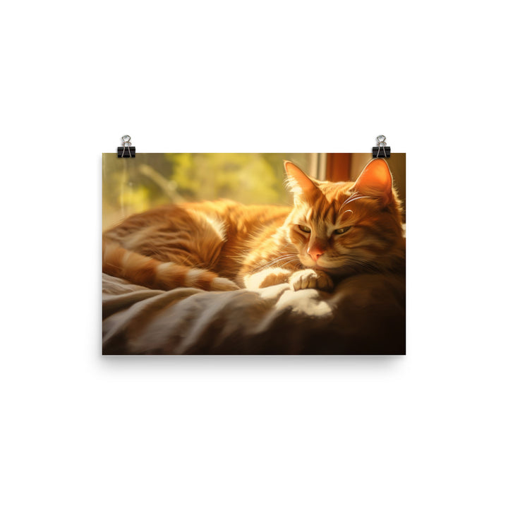 Relaxed Manx Cat photo paper poster - Posterfy.AI