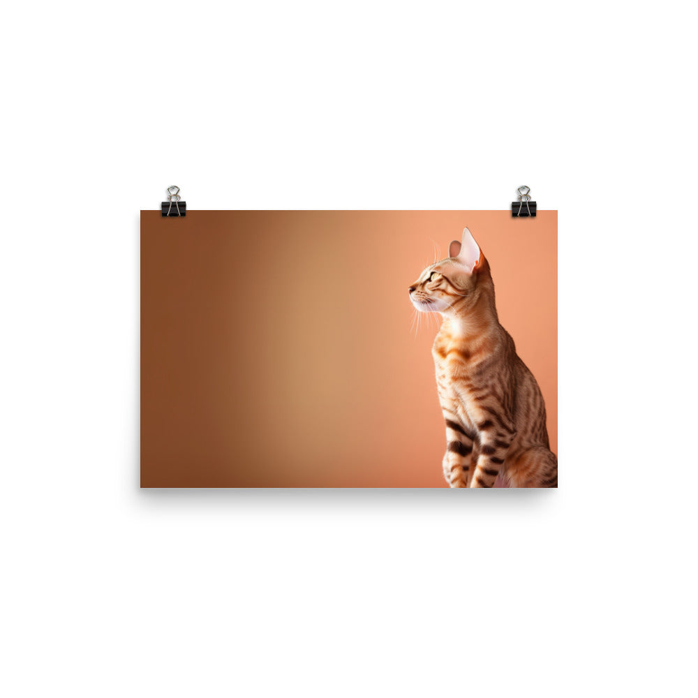 Sitting Ocicat photo paper poster - Posterfy.AI