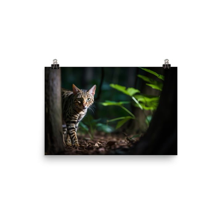 Ocicat Prowling at Night photo paper poster - Posterfy.AI