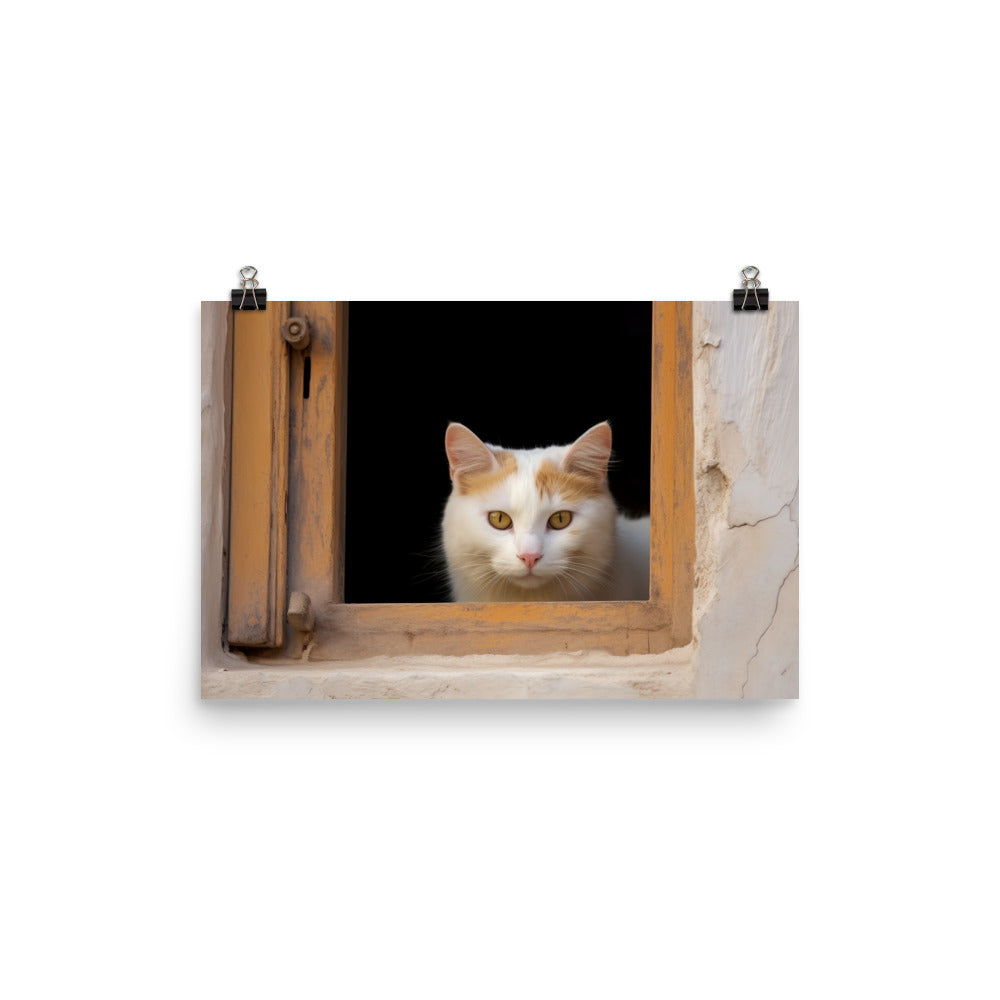 Curious Turkish Van photo paper poster - Posterfy.AI