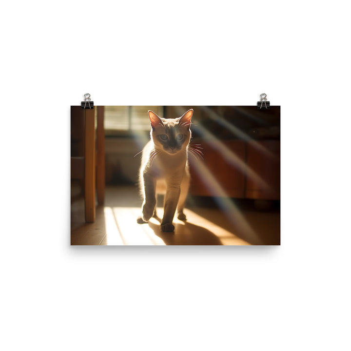 Playful Siamese in a Sunbeam photo paper poster - Posterfy.AI