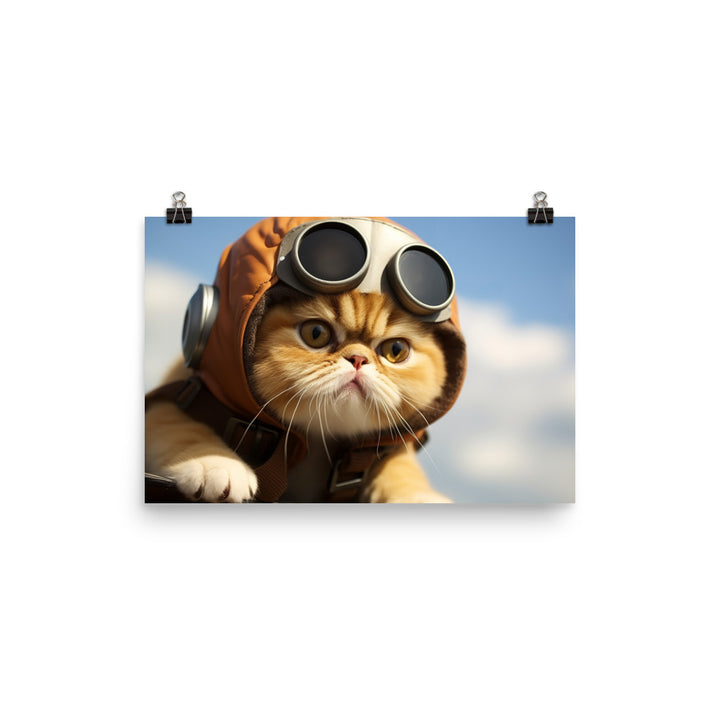 Exotic Shorthair Pilot Photo paper poster - PosterfyAI.com