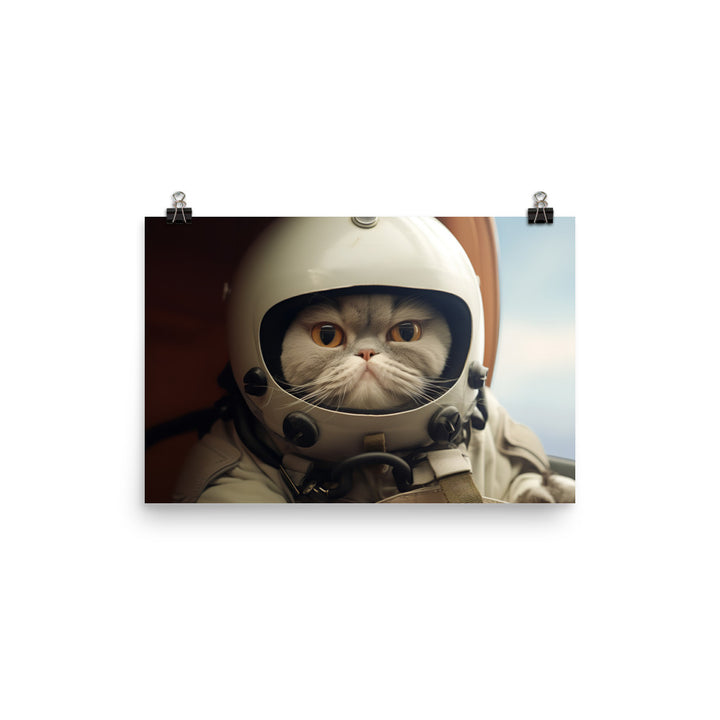 Exotic Shorthair Pilot Photo paper poster - PosterfyAI.com
