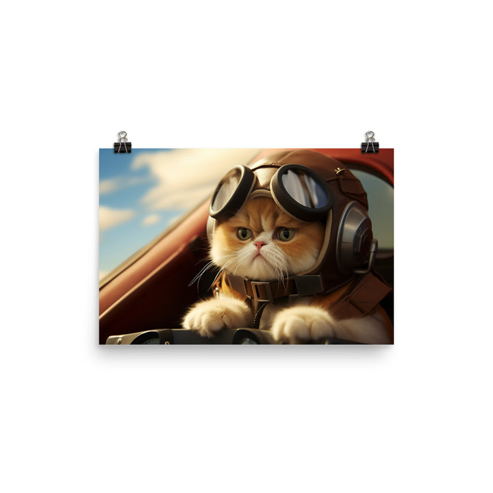 Exotic Shorthair Pilot Photo paper poster - PosterfyAI.com