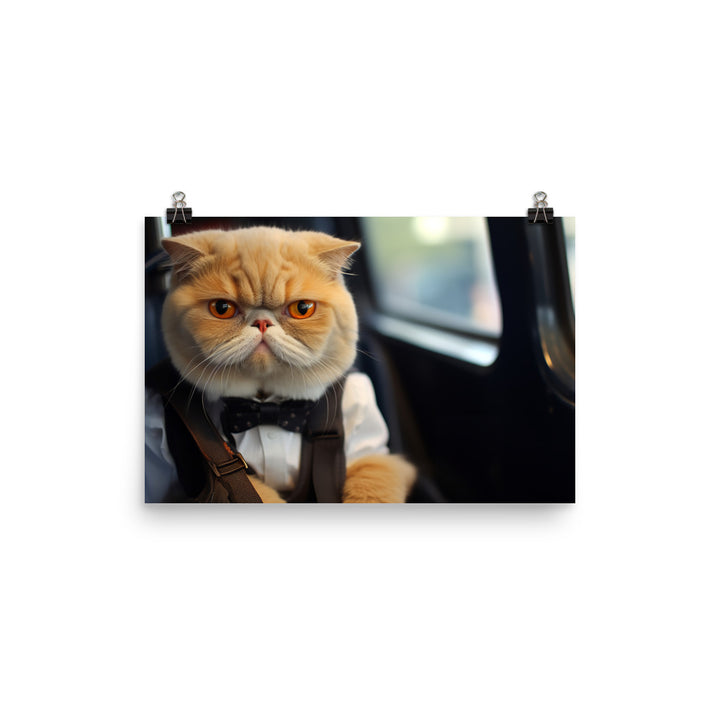 Exotic Shorthair Transit Operator Photo paper poster - PosterfyAI.com