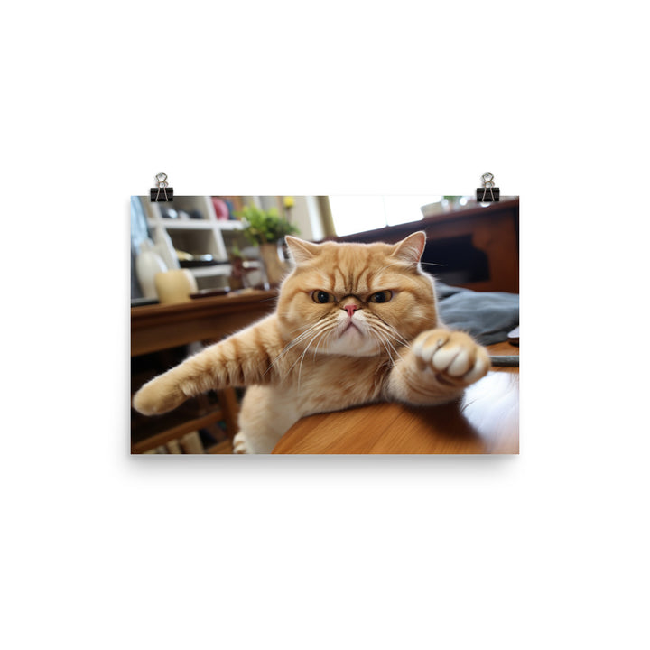Exotic Shorthair Photo paper poster - PosterfyAI.com