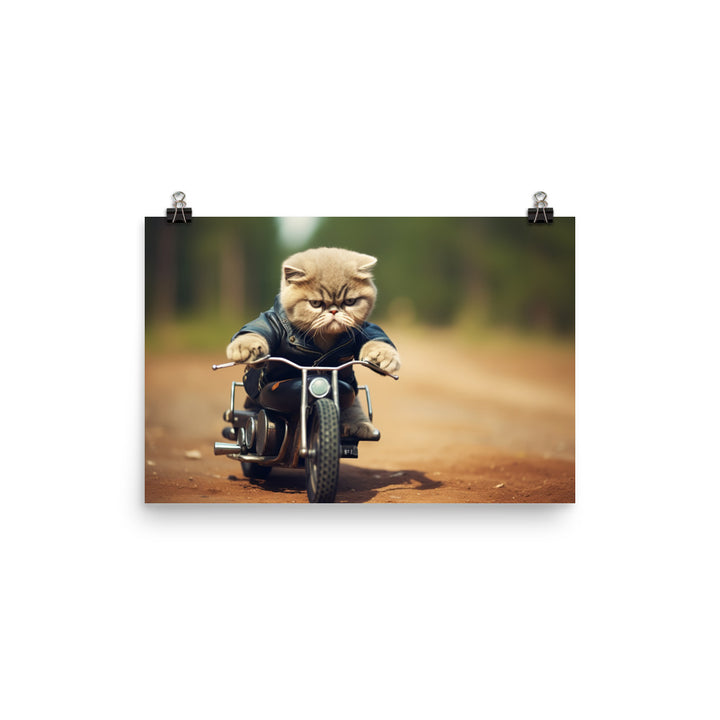 Exotic Shorthair Superbike Athlete Photo paper poster - PosterfyAI.com