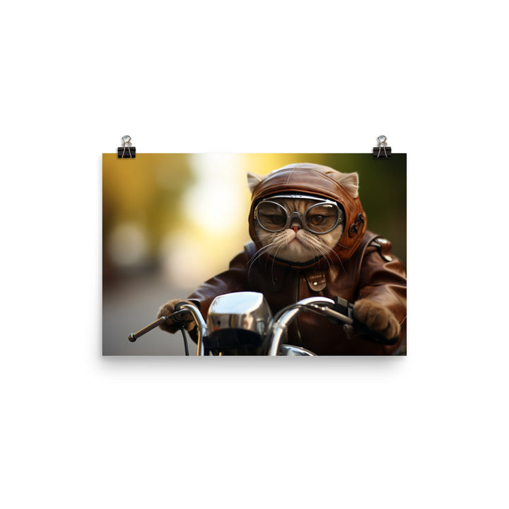 Exotic Shorthair Superbike Athlete Photo paper poster - PosterfyAI.com